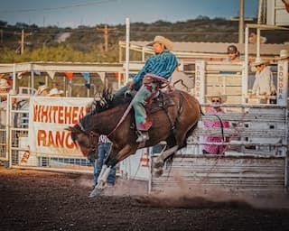 Sonora Outlaw Rodeo